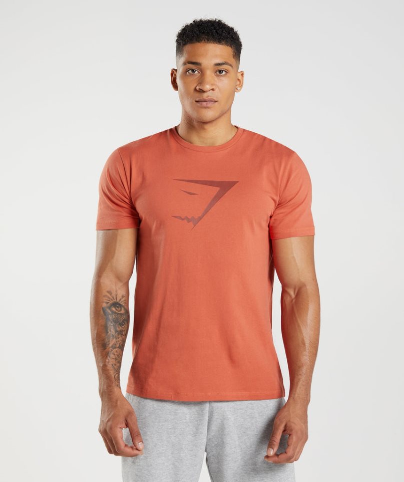 Koszulki Gymshark Sharkhead Infill Męskie Pomarańczowe | PL 491WYZ